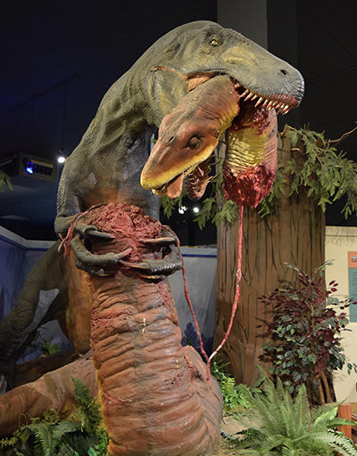 dinosaur journey museum tours