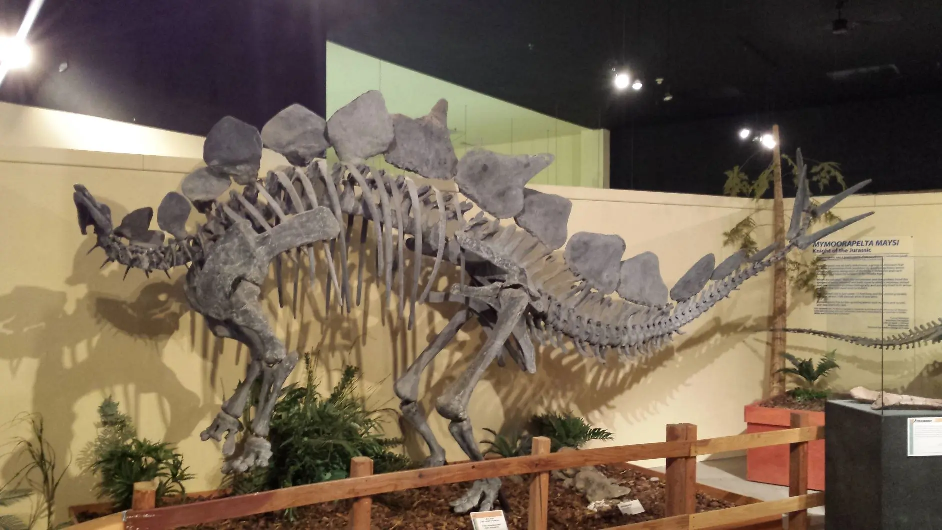 dinosaur journey museum about