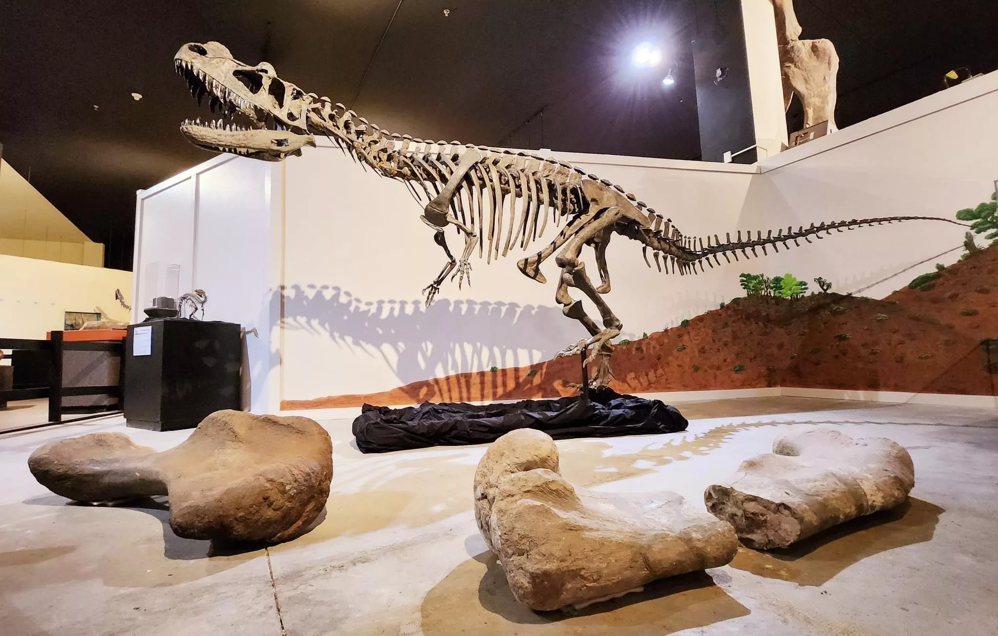 dinosaur journey museum about