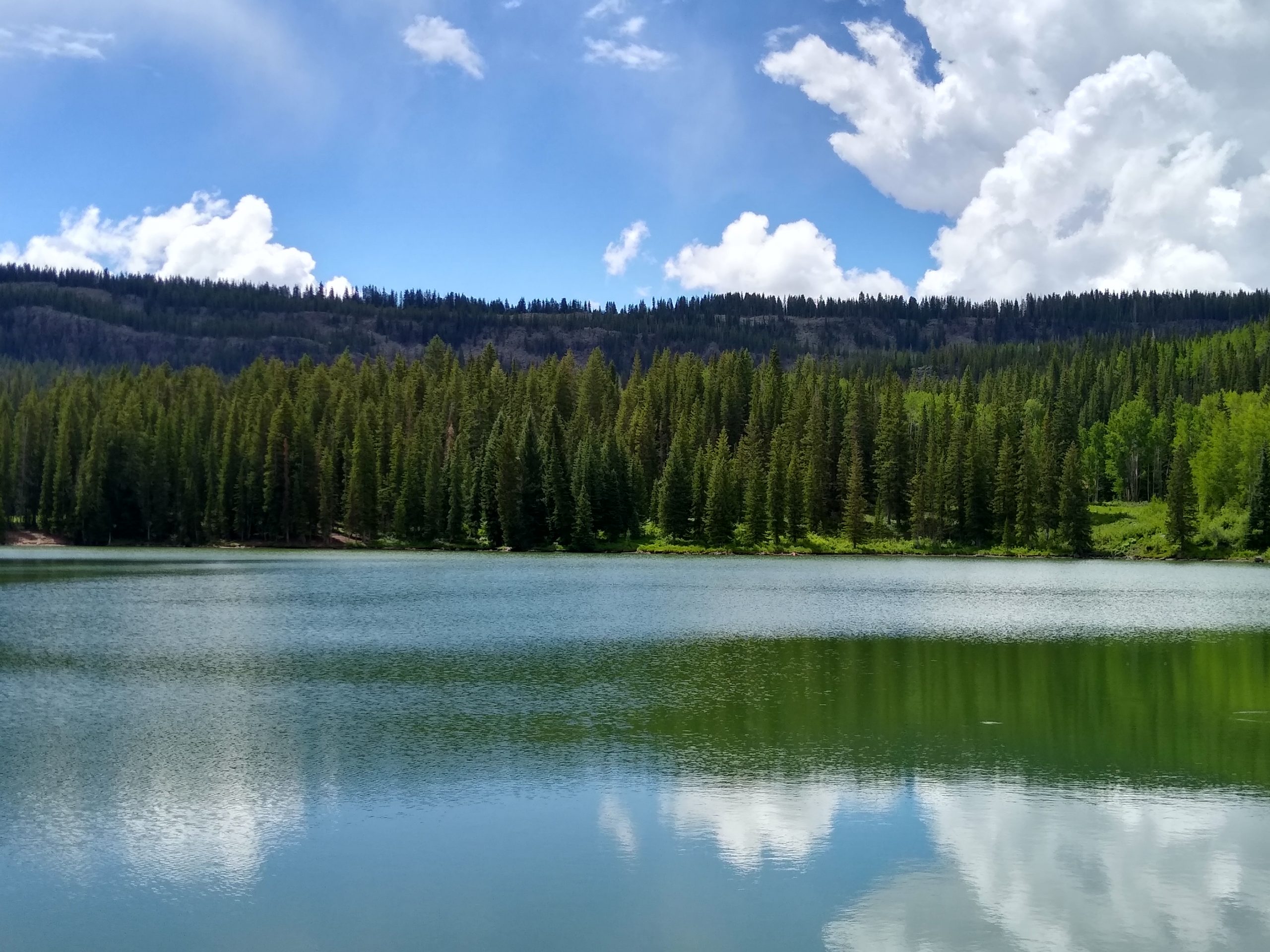 Grand Mesa Geologic Field Trip - Museums of Western Colorado